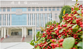 南京航空航天大學金城學院-校園風光