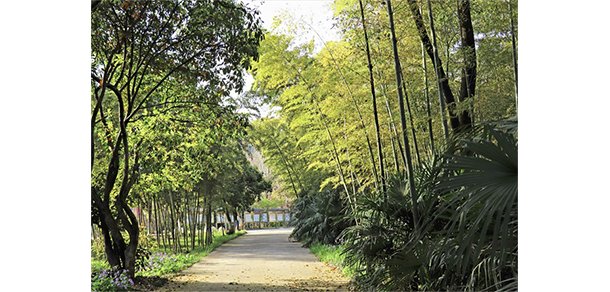 南京財經大學紅山學院 - 最美大學