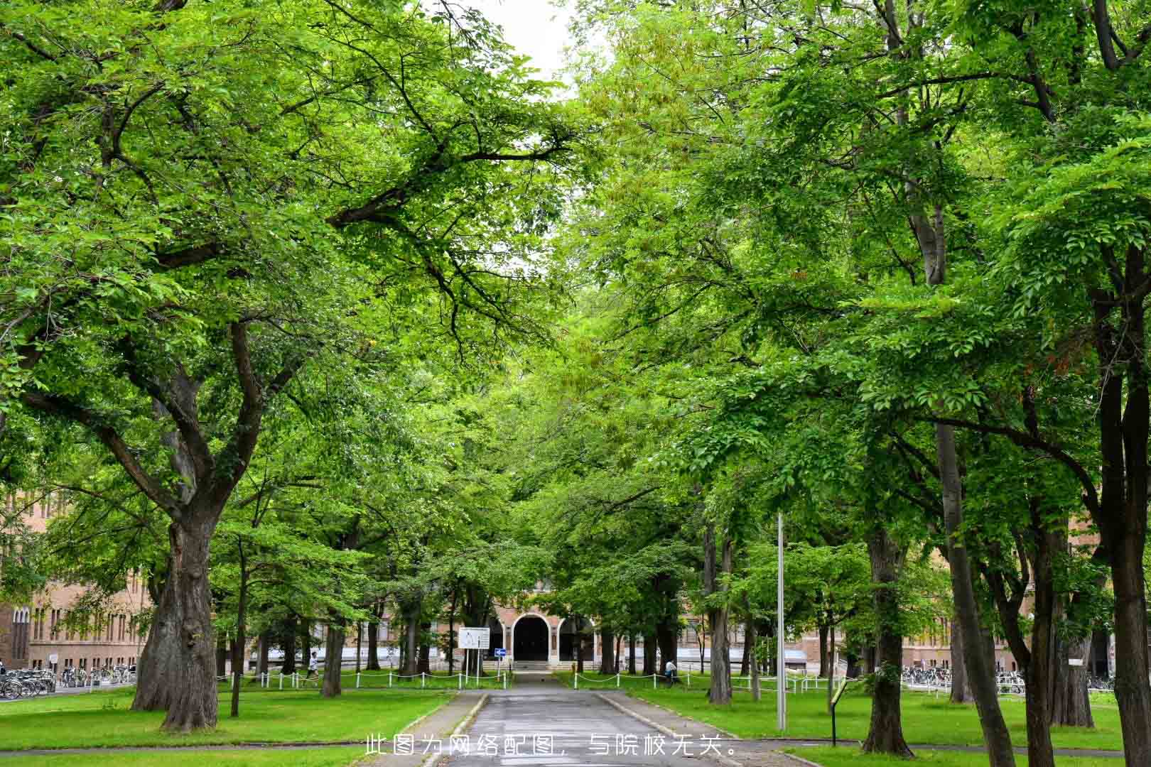 上海工商外國語職業(yè)學院-校園風景