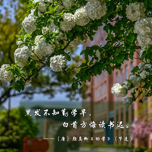 我的大學(xué)