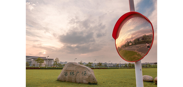 我的大學(xué)-大學(xué)志