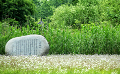 歷史沿革（概）校史