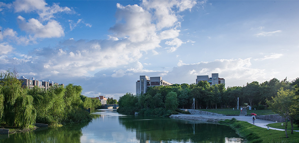 我的大學(xué)-大學(xué)志