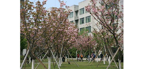 浙江水利水電學院