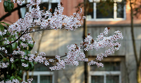 浙江藥科職業(yè)大學-校園風光