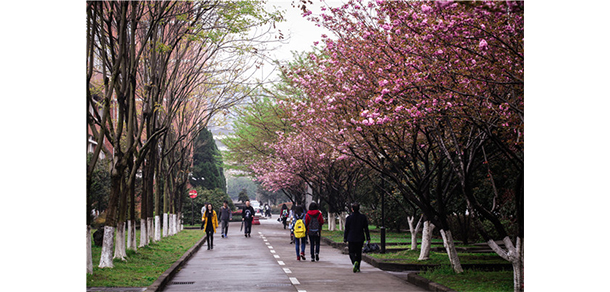 我的大學(xué)-大學(xué)志