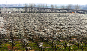 蚌埠經(jīng)濟技術(shù)職業(yè)學(xué)院-校園風(fēng)光