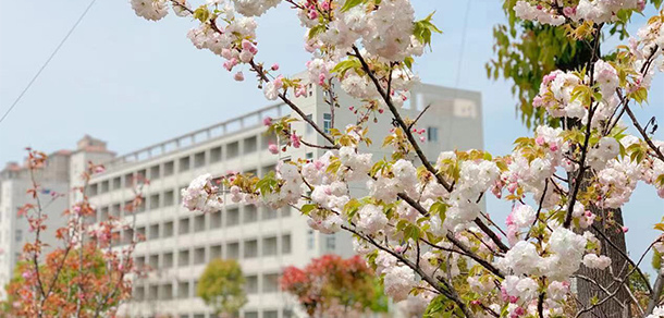 安徽揚子職業(yè)技術學院