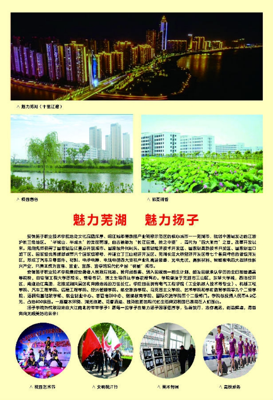 安徽揚(yáng)子職業(yè)技術(shù)學(xué)院－2020年分類(lèi)考試招生簡(jiǎn)章