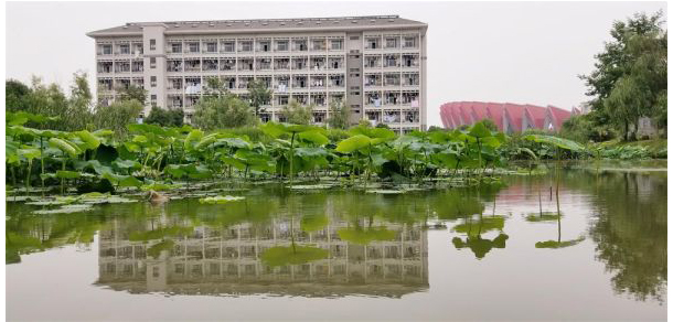 我的大學-大學志