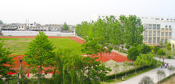 我的大學(xué)-大學(xué)志