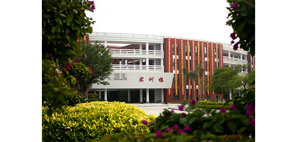 我的大學(xué)-大學(xué)志