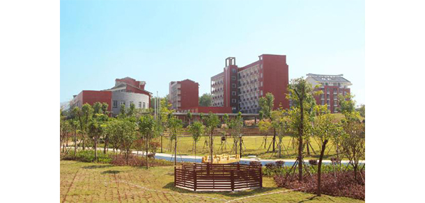 我的大學-大學志