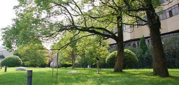 景德鎮(zhèn)陶瓷大學科技藝術(shù)學院