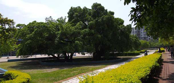 贛南師范大學(xué)科技學(xué)院 - 最美大學(xué)