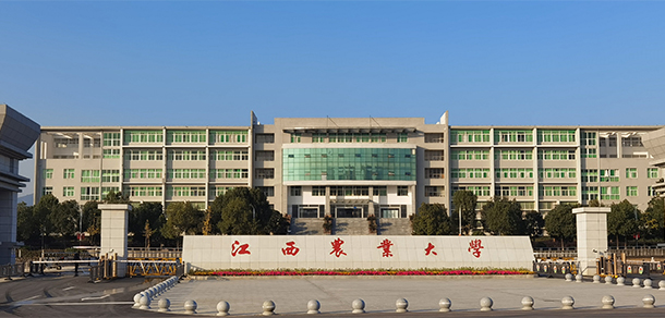 我的大學-大學志