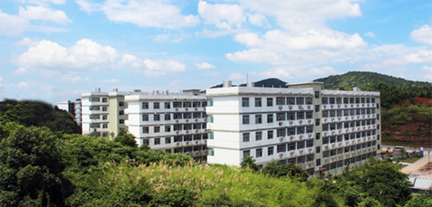 我的大學(xué)-大學(xué)志