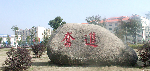 我的大學(xué)-大學(xué)志