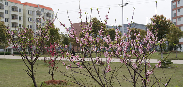 我的大學(xué)-大學(xué)志