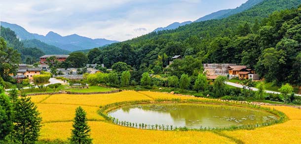 和君職業(yè)學院