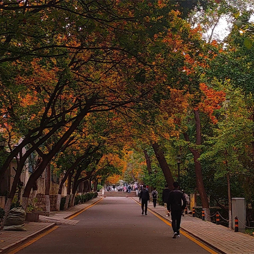 最美校園