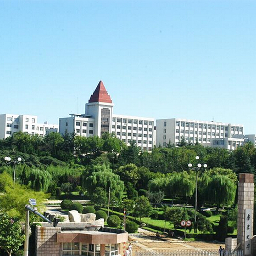 我的大學(xué)