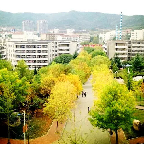 我的大學(xué)