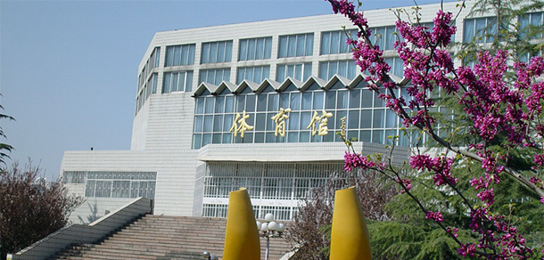 我的大學(xué)-大學(xué)志