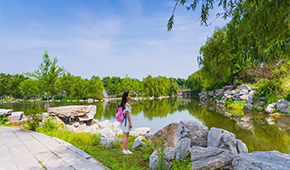 山東財經(jīng)大學-校園風光