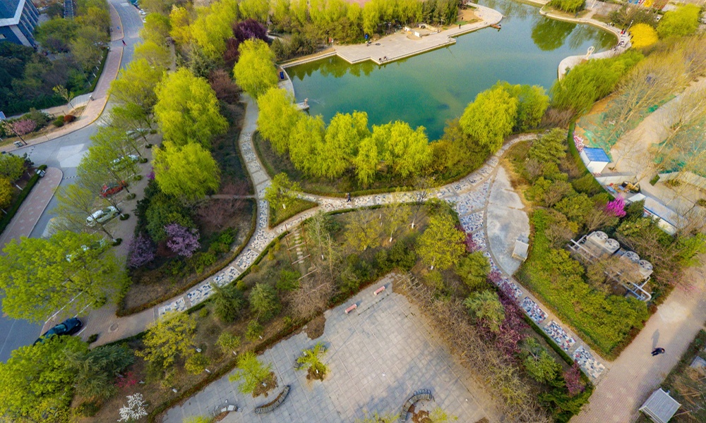 山東體育學(xué)院 校園文化