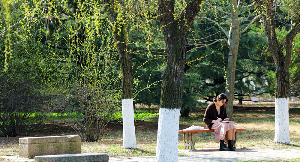 山東科技大學(xué) 校園文化