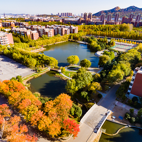 山東科技大學(xué)-最美校園