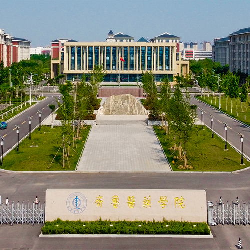 齊魯醫(yī)藥學院-大學文化