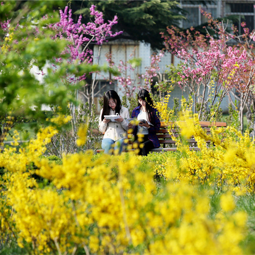 山東工商學院 - 白駒過隙，只此青綠