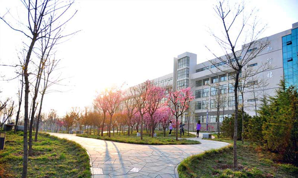 青島黃海學(xué)院 校園文化