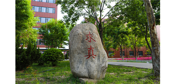 我的大學(xué)-大學(xué)志