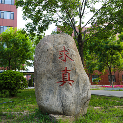 山東華宇工學(xué)院-大學(xué)文化