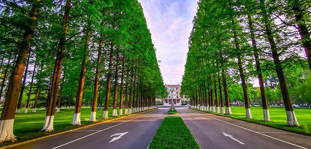 我的大學-大學志