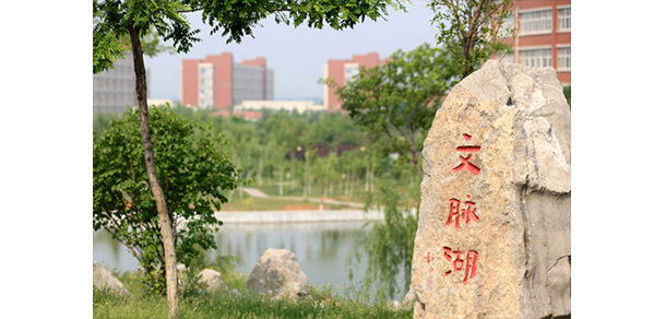 我的大學(xué)-大學(xué)志