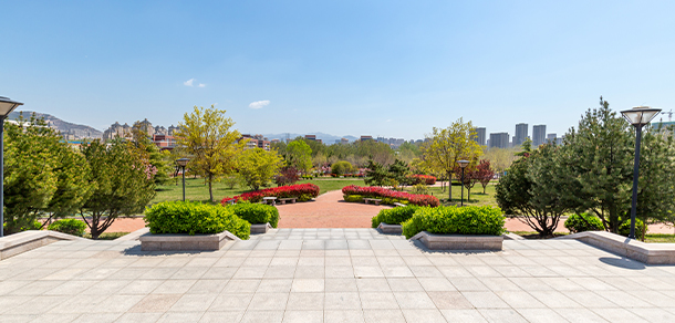 山東外貿職業(yè)學院