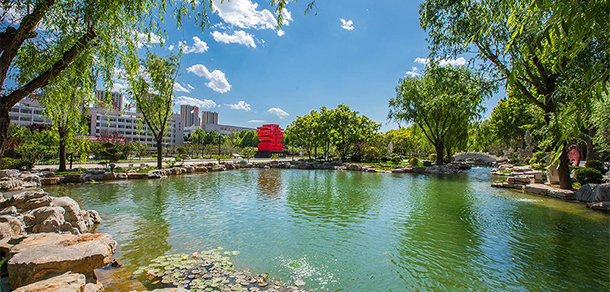 我的大學-大學志