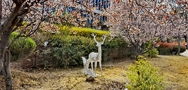 棗莊職業(yè)學院