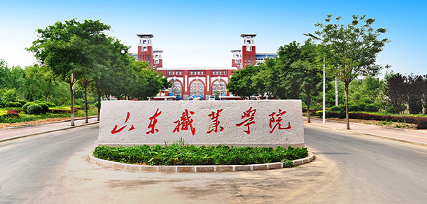 我的大學(xué)-大學(xué)志