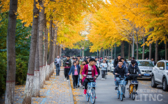 洛陽理工學院 - 我的大學