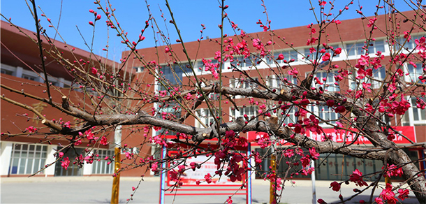 黃河交通學院 - 最美大學