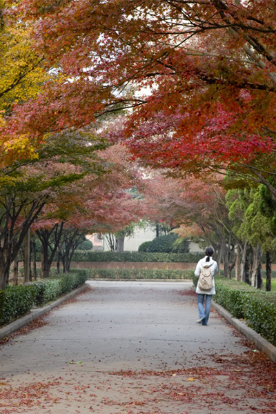 河南科技大學