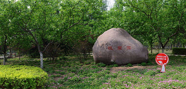 我的大學(xué)-大學(xué)志