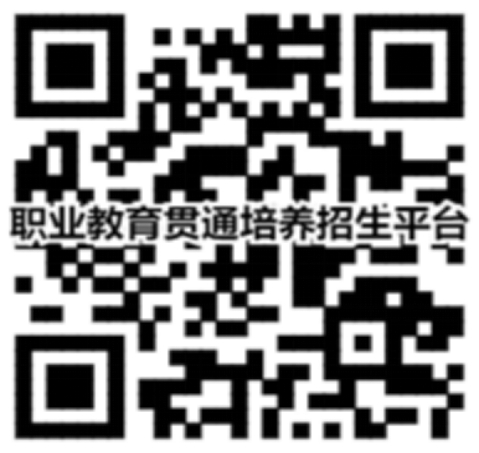 二維碼在線進行報考、計劃查詢、錄取查詢