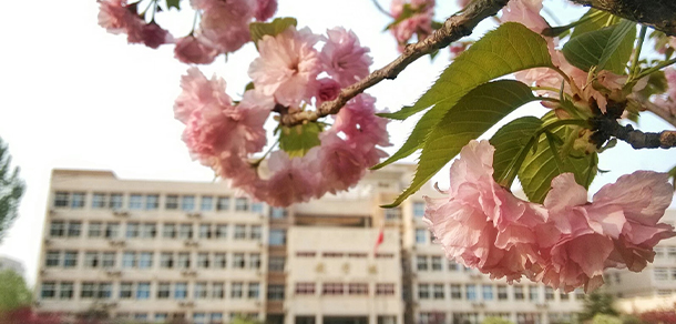 鄭州旅游職業(yè)學(xué)院 - 最美大學(xué)