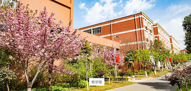 我的大學(xué)-大學(xué)志